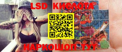 бошки Гатчина