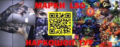 бошки Гатчина